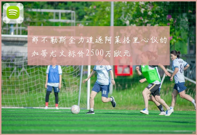 那不勒斯全力追逐阿莱格里心仪的加蒂尤文标价2500万欧元