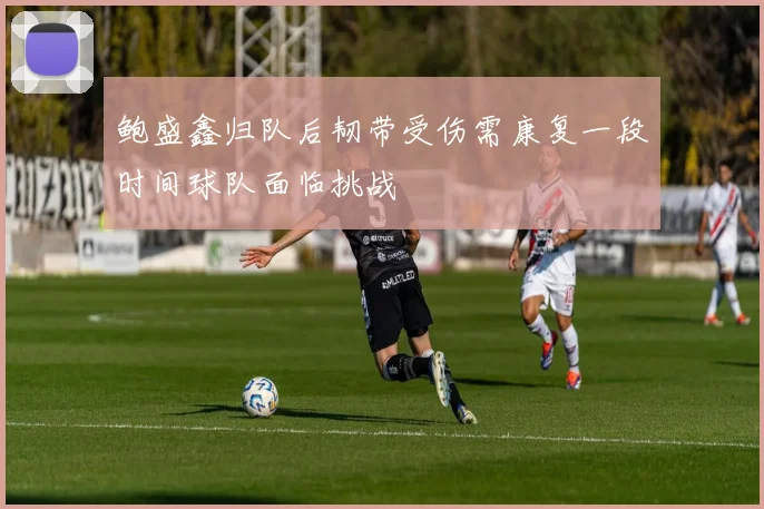 鲍盛鑫归队后韧带受伤需康复一段时间球队面临挑战